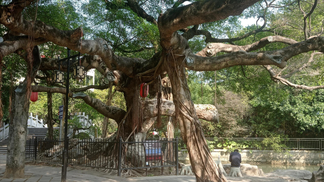 广州城里的世外桃源！百蚝壳屋+古桥祠堂，避人潮享惬意慢时光