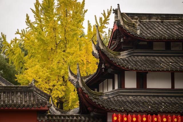 我已退休，旅游一年，奉劝大家，不要搭伴旅游了