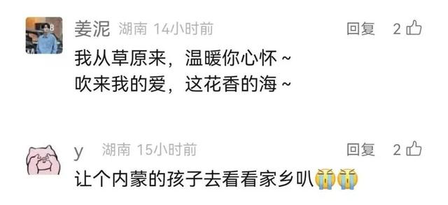 快请年假！这次真被呼和浩特暖到了！