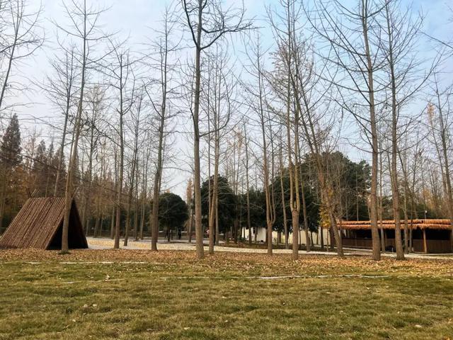 即将正式营业！金堂又将新增一处游玩打卡地！