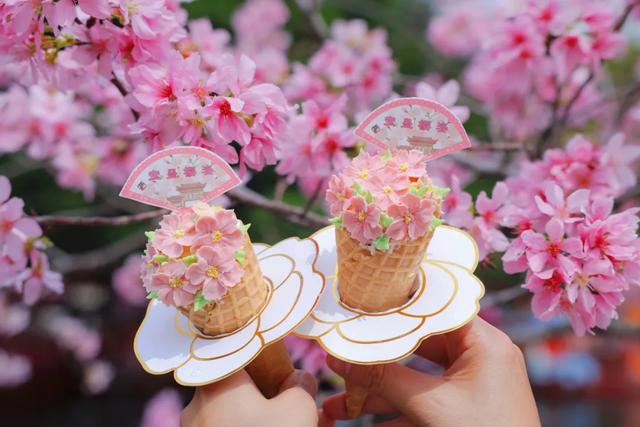 宝墨园请你看樱花啦!文末有粉丝福利→