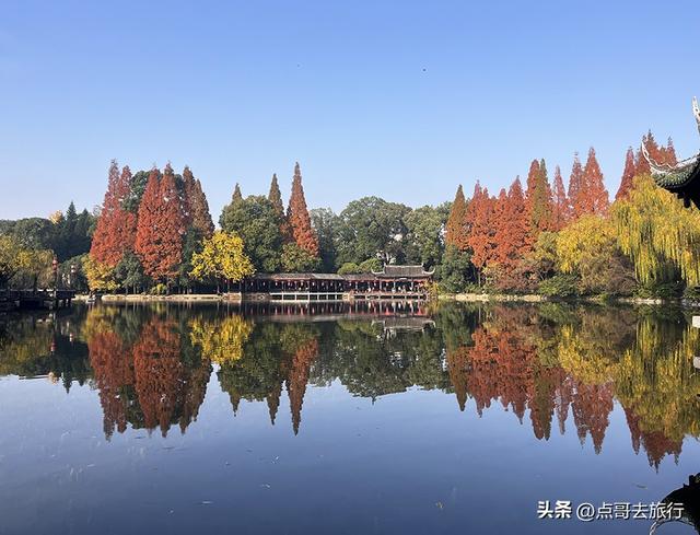 成都被私藏的彩林公园，流金溢彩，充满老城烟火气，地铁公交直达