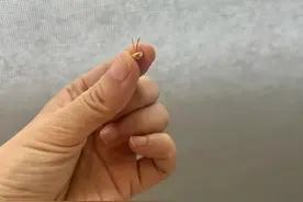 被网友的“防尘大法”惊呆了！不花啥钱，家里还能一尘不染！图片