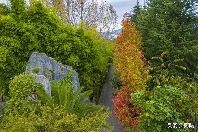 随着旁边五星级酒店的破产重组,这个公园也逐渐没落,被丽江遗忘