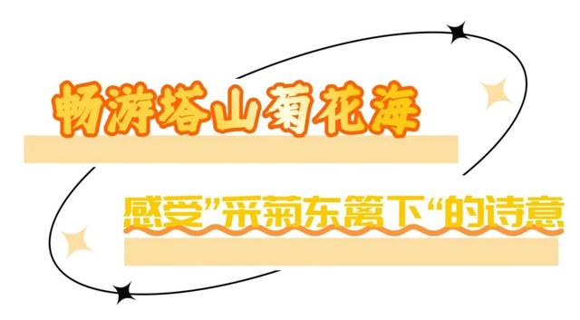玩转秋天！烟台好玩程度超出想象！
