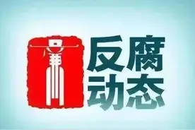 叶树楷、冯燕涛、杨旭被查，孙玉宁、牛刚、许东林被“双开”图片