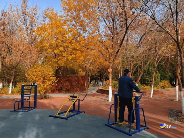 才几天没去,这个公园最近居然变成这样了?!