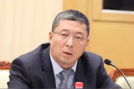 中银集团保险公司前董事长葛春尧被查，上任仅一年图片