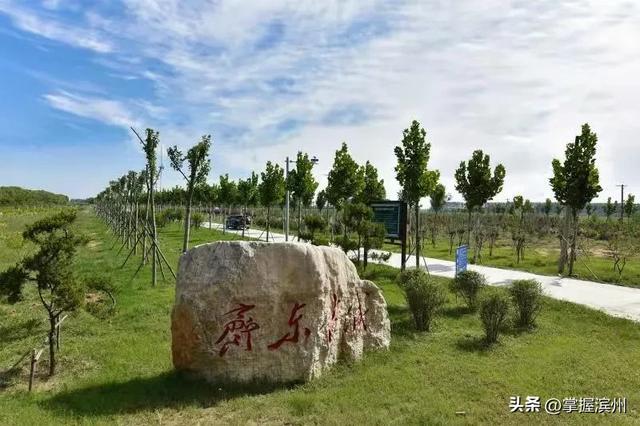 暑假在邹平，这几条研学旅游线路请收好！