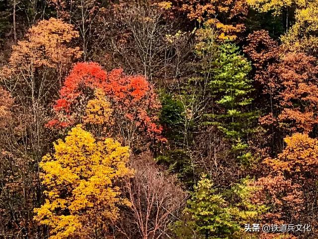 车过神农架【原创】作者：原铁十师陶玉和