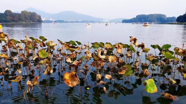 你知道秋天的南京的正确玩法吗？这些景点可不要错过！先收藏起来