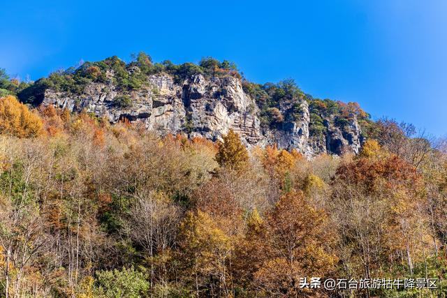 霜冬赴新程，焕新待君赏