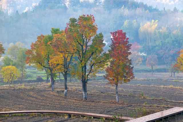 大别山中徐凤冲