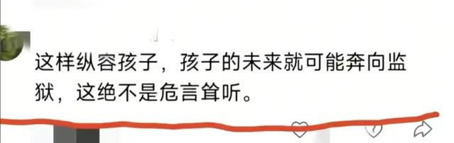 后续来了！南航被围殴女子硬刚不和解：“孩子小”不是作恶的盾牌