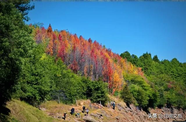 来一场短暂的城市逃离!盘龙这些登高好去处你知道吗?