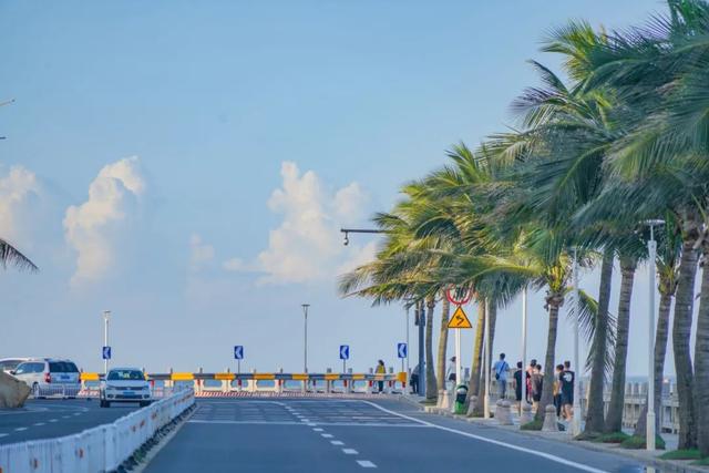 情侣路，凭什么成为大湾区顶流？