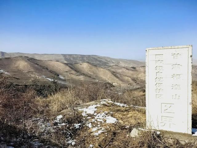 古丰初冬：雪粘褐野，甜裹寒枝