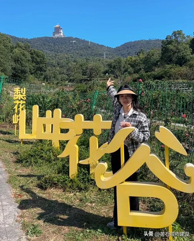 秋日遛娃天花板！黄石这里的百日菊花海美翻了