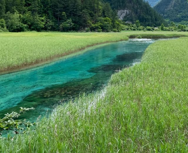 九寨沟芦苇海已变金黄色，网友称美不胜收“想来一万次”，景区提醒