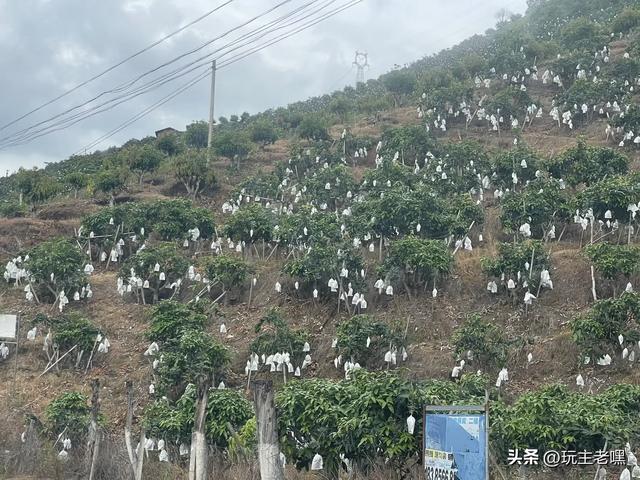 疆藏云贵行75，再见丽江