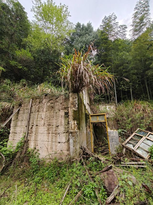 仙居县大木辽村，寻寻觅觅落脚地，起起落落下山走