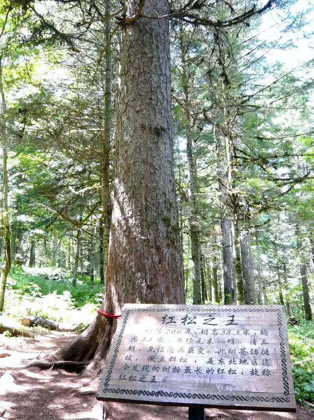 盲人融合旅行招募：到冰天雪地的伊春撒欢儿去