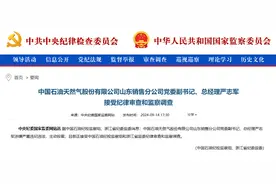 主动投案！中国石油天然气股份有限公司山东销售分公司党委副书记、总经理严志军接受审查调查图片