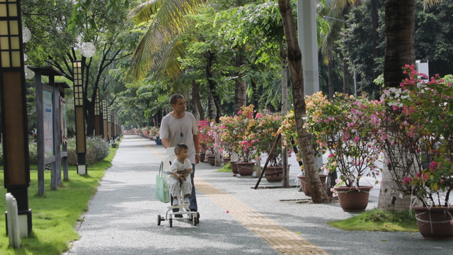 20℃+！出发，去元阳过冬🤩