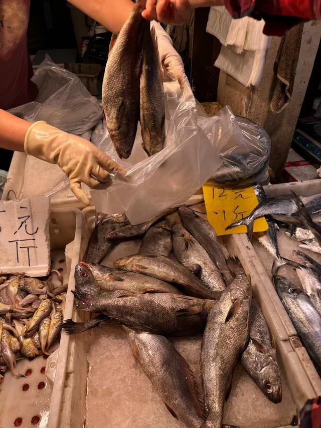 花胶30头大概多少钱一斤 30头的花胶1斤多少钱