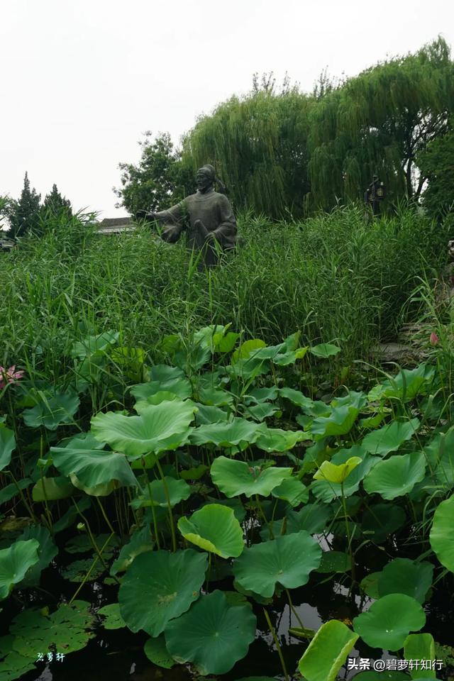 北京什刹海西海湿地公园:人少景美的赏荷胜地,还有一座美术馆