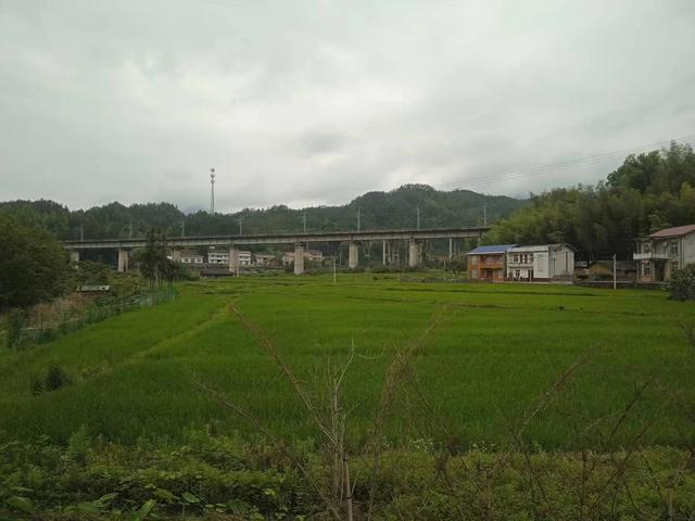 端阳喜伴小溪河，独有诗心迷远足——徒步小溪河散记（三）