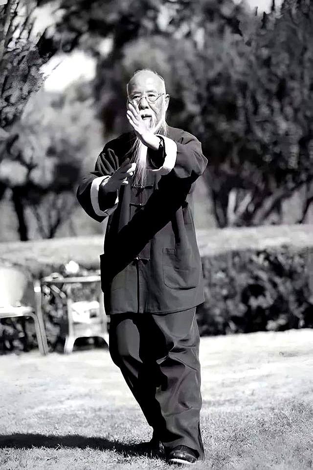 丹田藏火三十年，摸鱼劲里见真传！内家拳“术”“法”首度公开