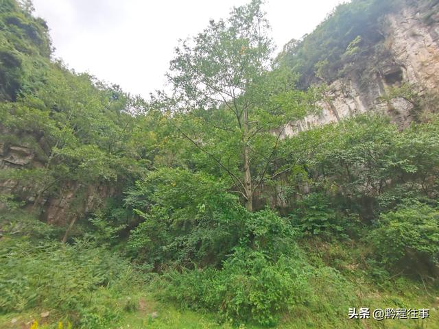 寻找一个空中阁楼躲匪洞堡，一栋150多年历史的深宅大院