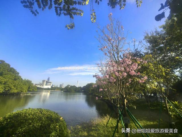 东山湖冬天最佳游玩地：拍广州风景一线天，还是候鸟观赏圣地