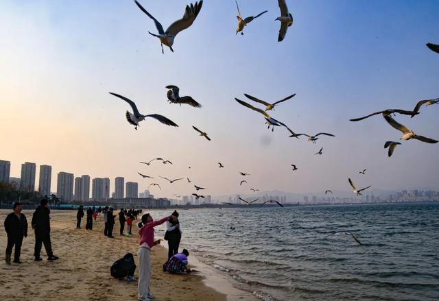 来威海经开区,赴一场山海之约~