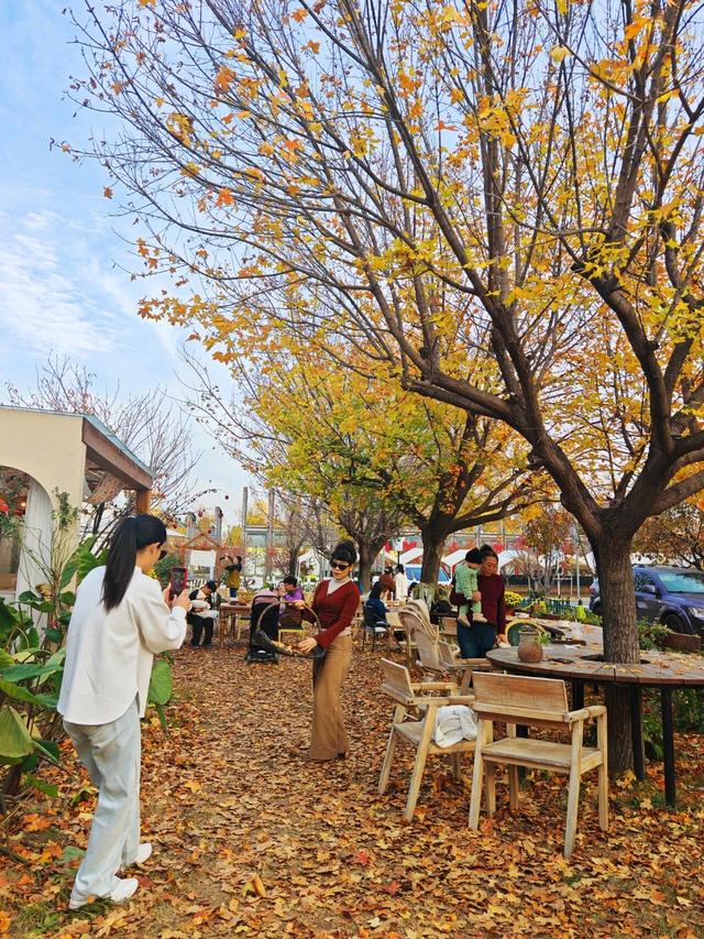 出片率UP！UP！UP！潍坊这里好美啊！