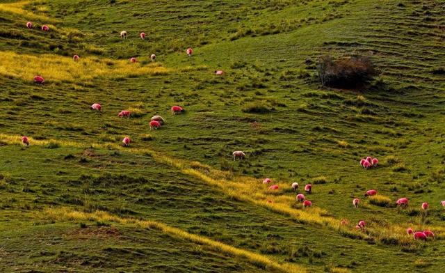 甘肃被隐藏的宝藏小城，几乎浓缩了大西北全部美景，却少有人提起