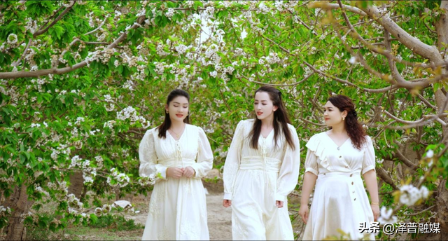 泽普县：樱桃花开醉春风，春日盛景引客来