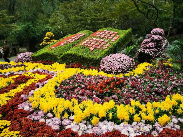 从爱晚亭捡来一枚红叶