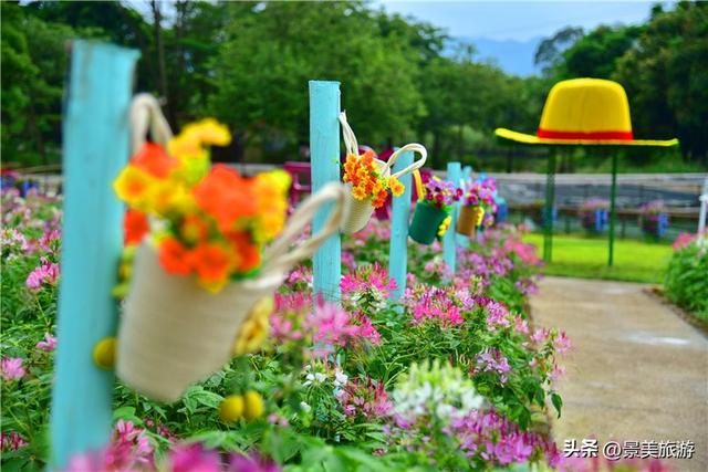 国庆相约卡玛花世界：花海中邂逅秋日浪漫，花篮小径中留下倩影
