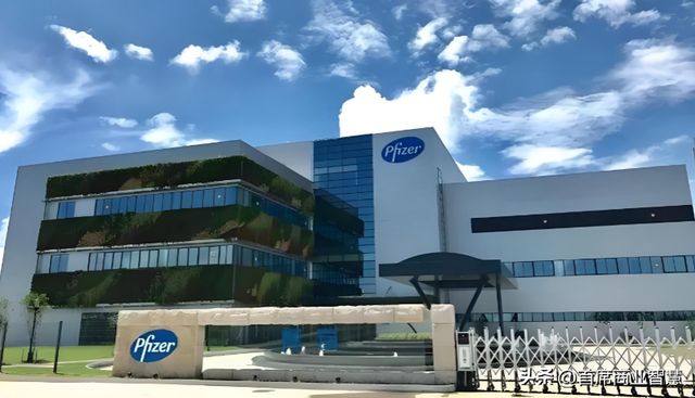 日入近4亿！手握2000亿上市公司！64岁新晋女首富“打败”宗馥莉