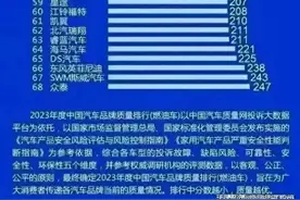 2024年315晚会曝光的燃油车汽车质量排名，你家爱车上榜了没？图片