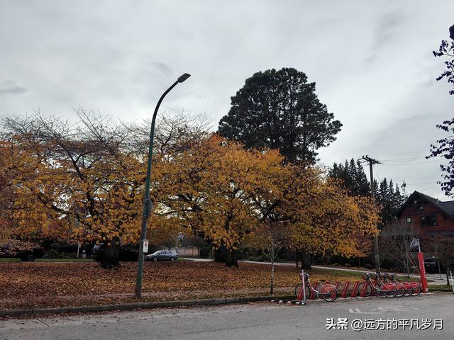 温哥华游记（五）