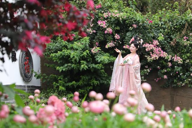 东莞观音山4月15日首日实况直击!欢迎东莞人民🤩共赏春光!