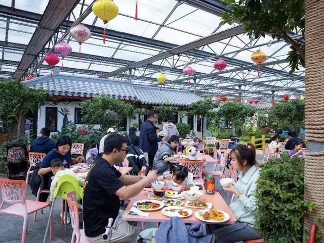 冬日奇遇开启！五洲植物乐园藏着超多惊喜！寻绿不跑空！12月营业时间新鲜出炉~