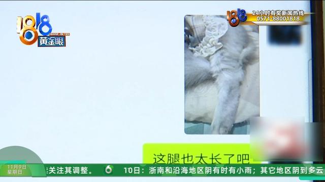 怎么又是这？她还拿出视频，里面“一动不动”，停了几只苍蝇....