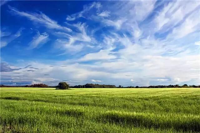 走过千山万水才懂：很多事，走着走着就释怀了