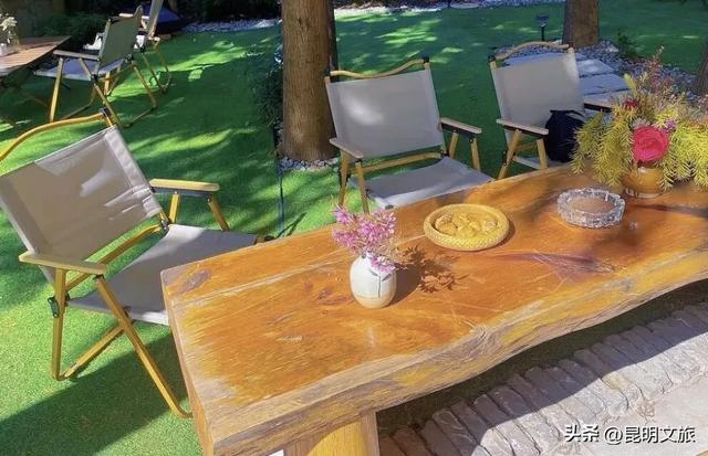 天晴就去！鸥鸟翩跹，这个免费国家级公园，藏着昆明最美的冬天