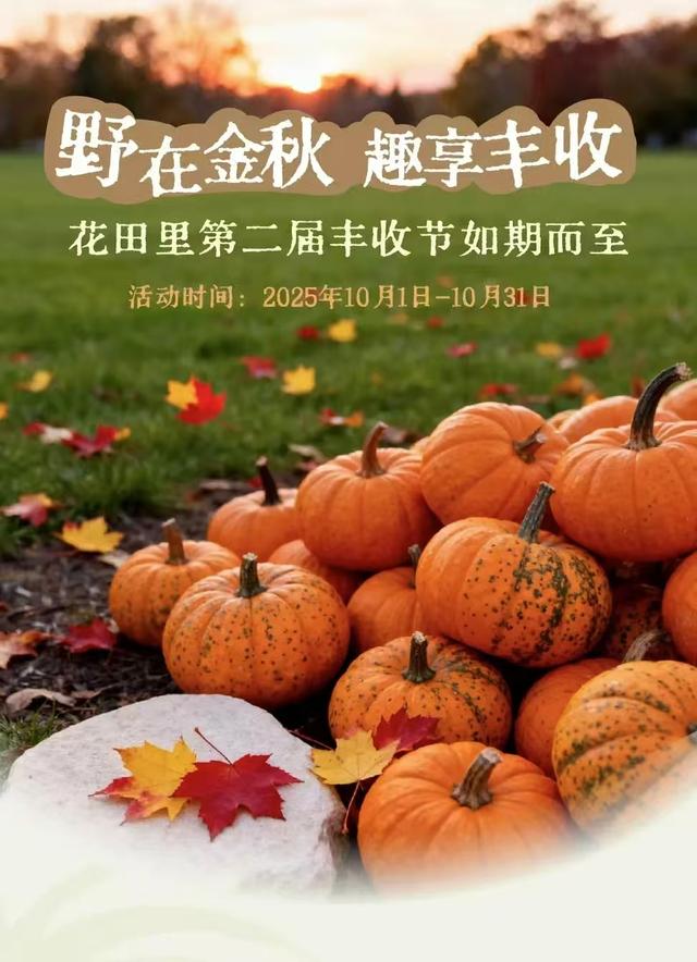 艺术花展、篝火露营、田园美食……上海郊野这些限定精彩别错过→