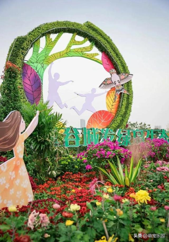 武汉菊花展60万盆花海，游客爆满，这场秋日浪漫让我心动不已